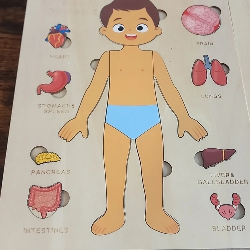 Children's Anatomy Learning Puzzle - Blue and Red Prices Are For Each Set I Have